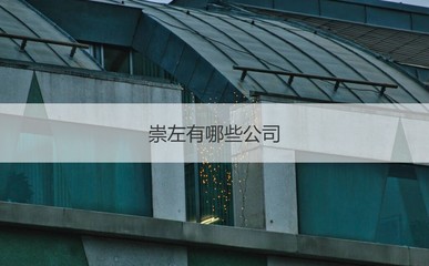 崇左4500元月薪水平分析 聚焦薪資現(xiàn)狀與國(guó)營(yíng)貿(mào)易管理貨物進(jìn)出口行業(yè)