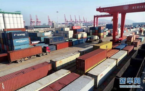 組團出海搶訂單，穩外貿注入新動能